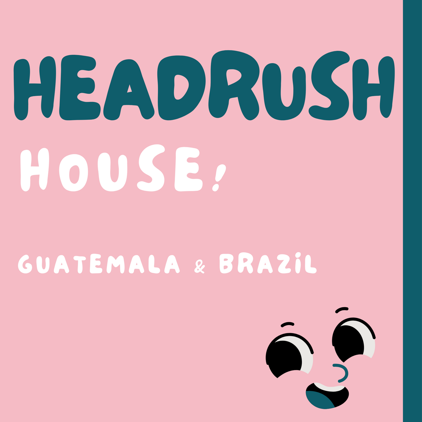 HOUSE! - GUATEMALA & BRAZIL